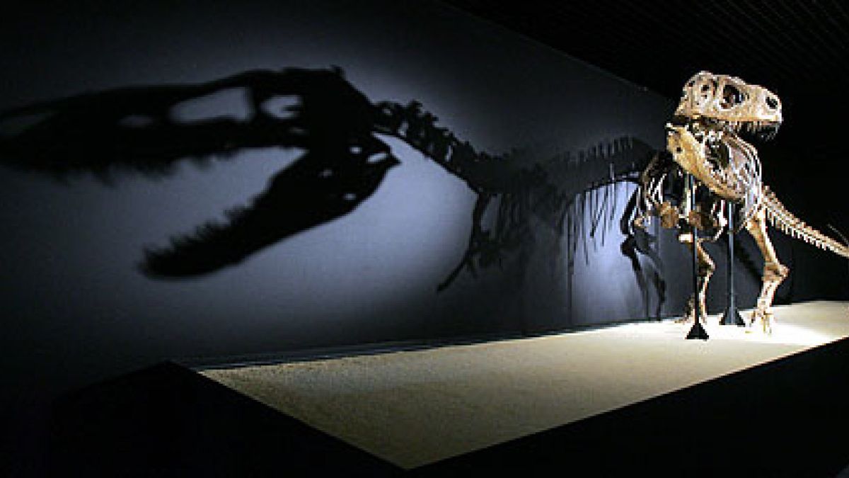 Llega a Madrid la mayor colección de dinosaurios del mundo