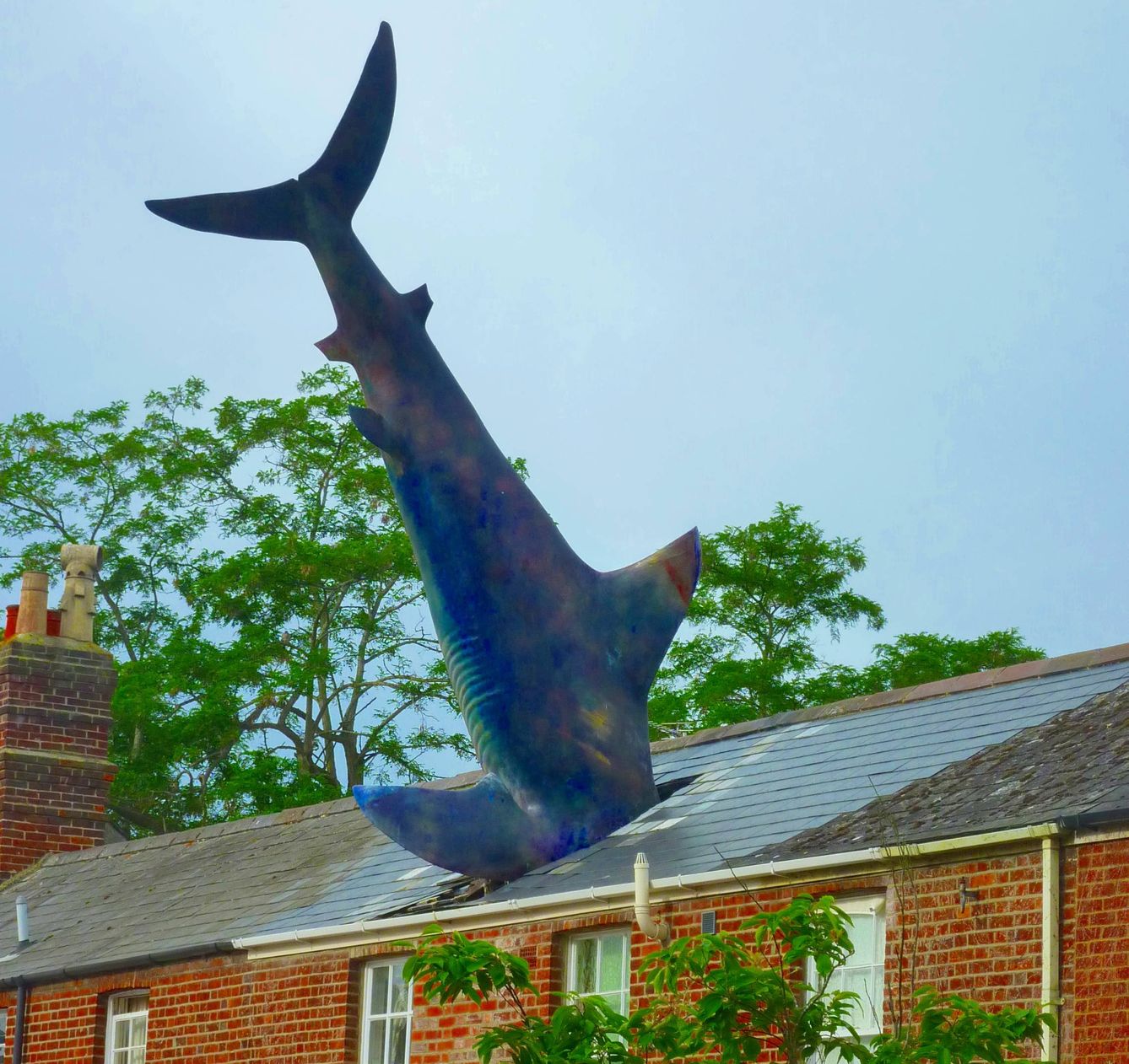 Escultura 'The Headington Shark' de John Buckle en Oxford. (Flickr: temporalata)