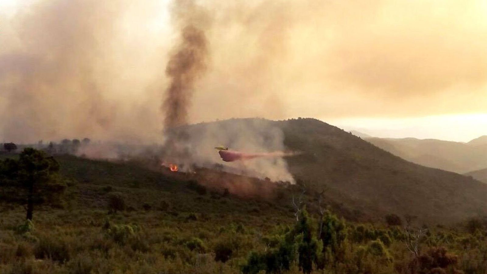 Foto: En Montán, Castellón, también las llamas están causando estragos (EFE)