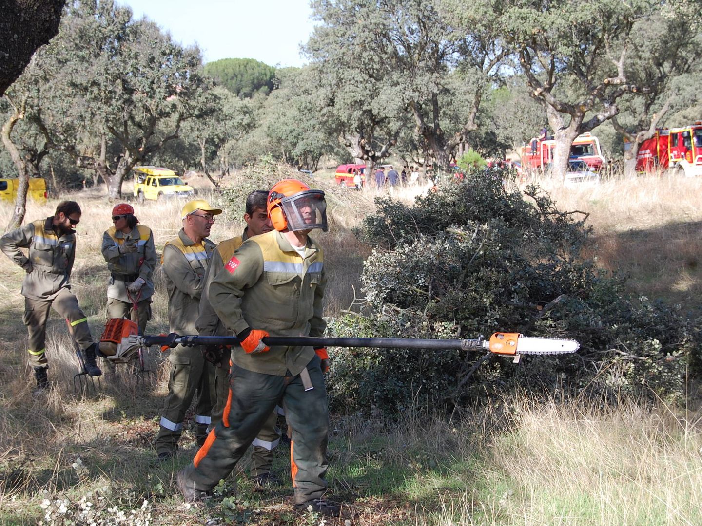 Brigadas forestales trabajando en trabajos de desbroce en la sierra de Madrid. (EFE)
