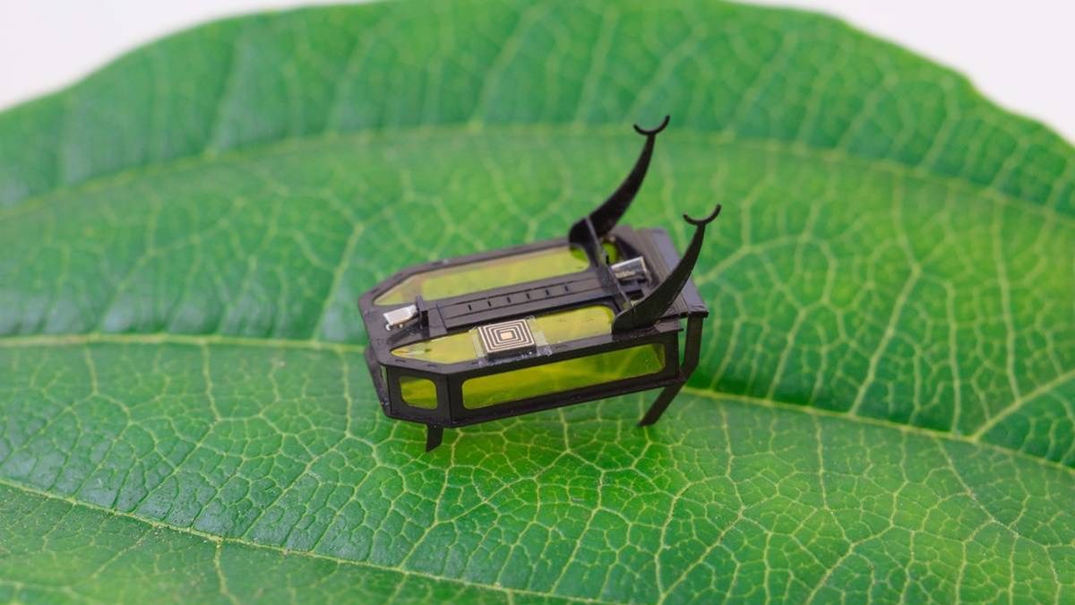 Este insecto robot, uno de los más pequeños del mundo, se mueve con metanol
