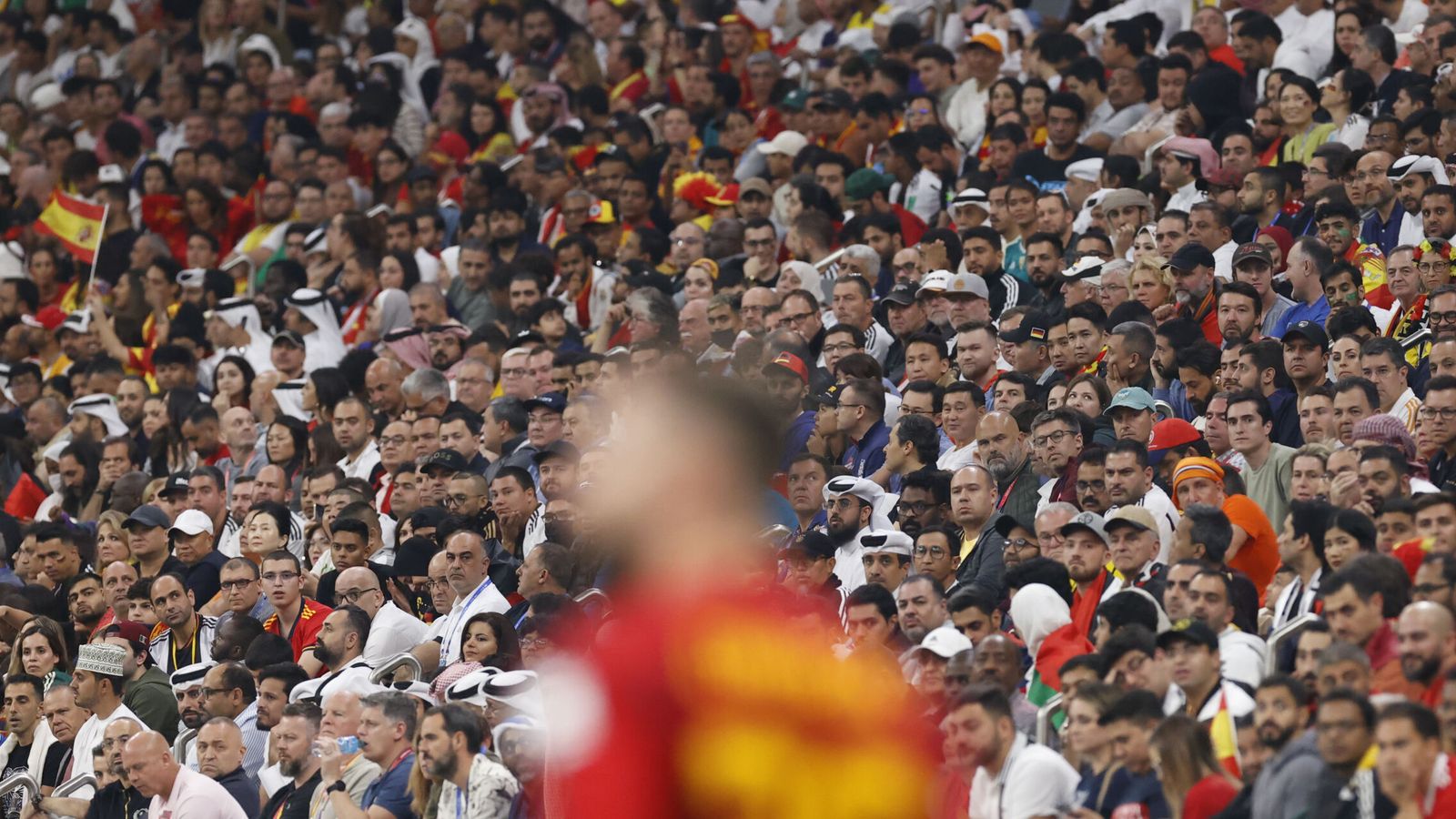 Aficionados asisten al partido entre España y Alemania. (EFE/Esteban Biba)