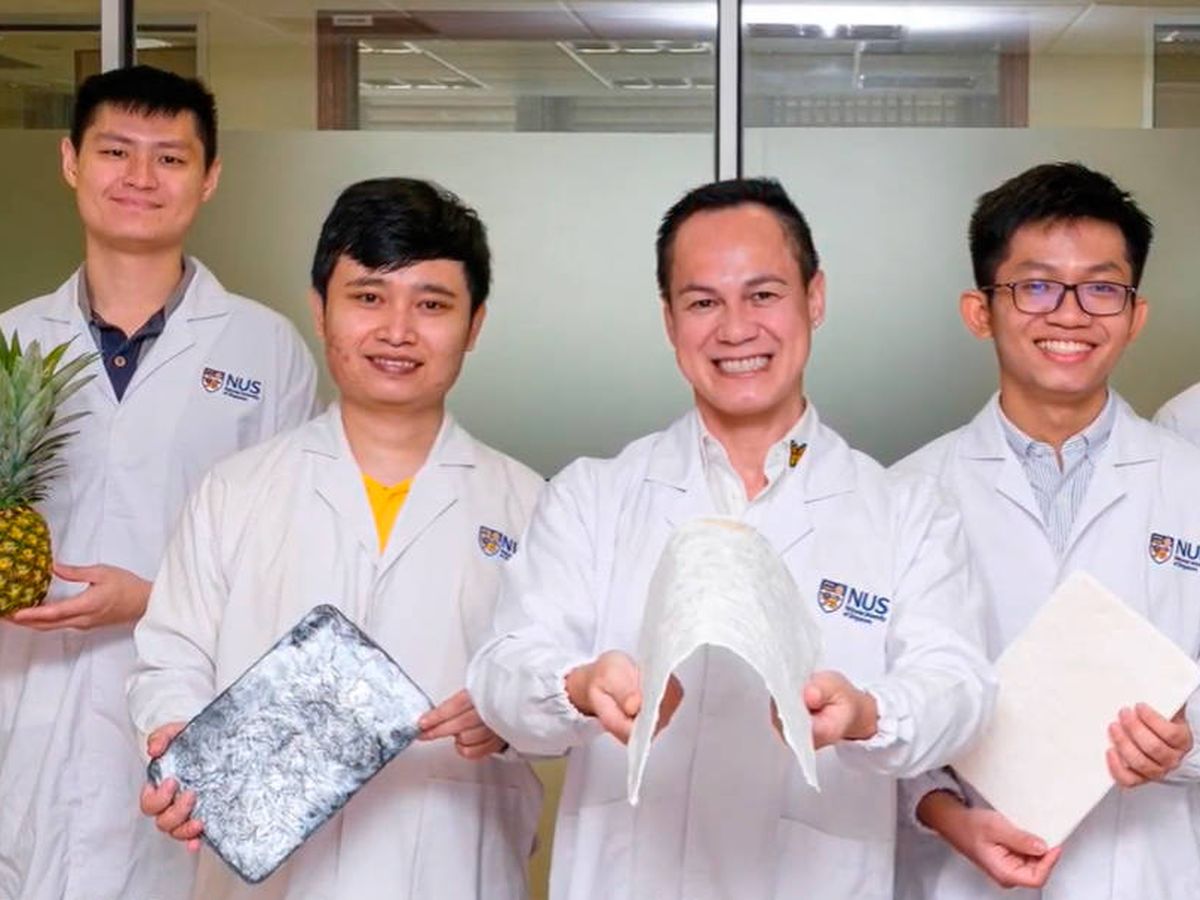 Foto: Los científicos de la Universidad Nacional de Singapur han patentado su descubrimiento. (YouTube)