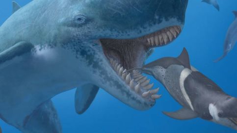 La caza del Leviatán: Durero y la ballena que acabó con él