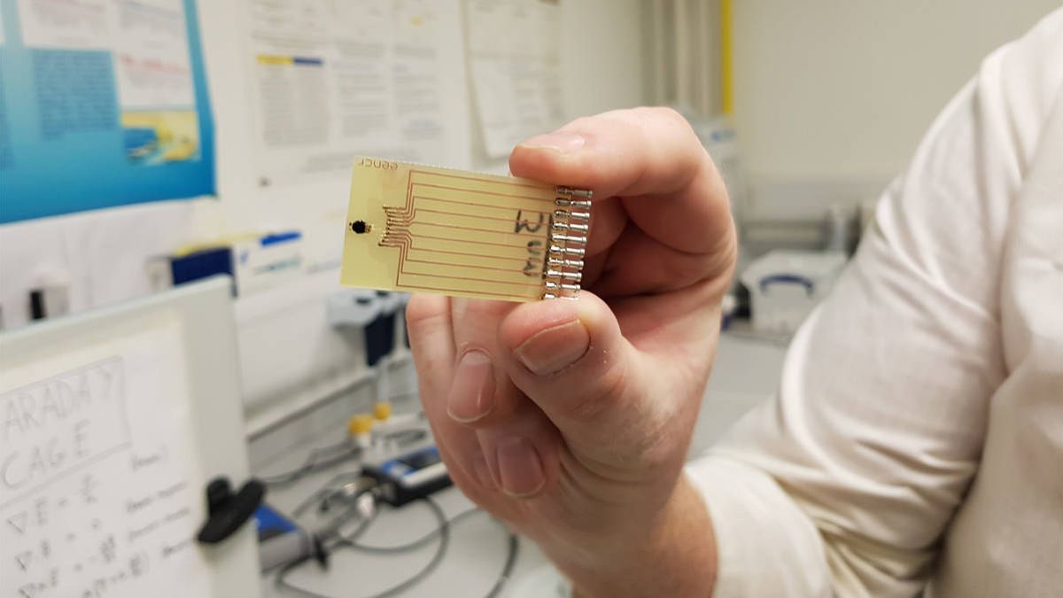 Una prueba 'low cost' para detectar sepsis podría salvar miles de vidas cada año
