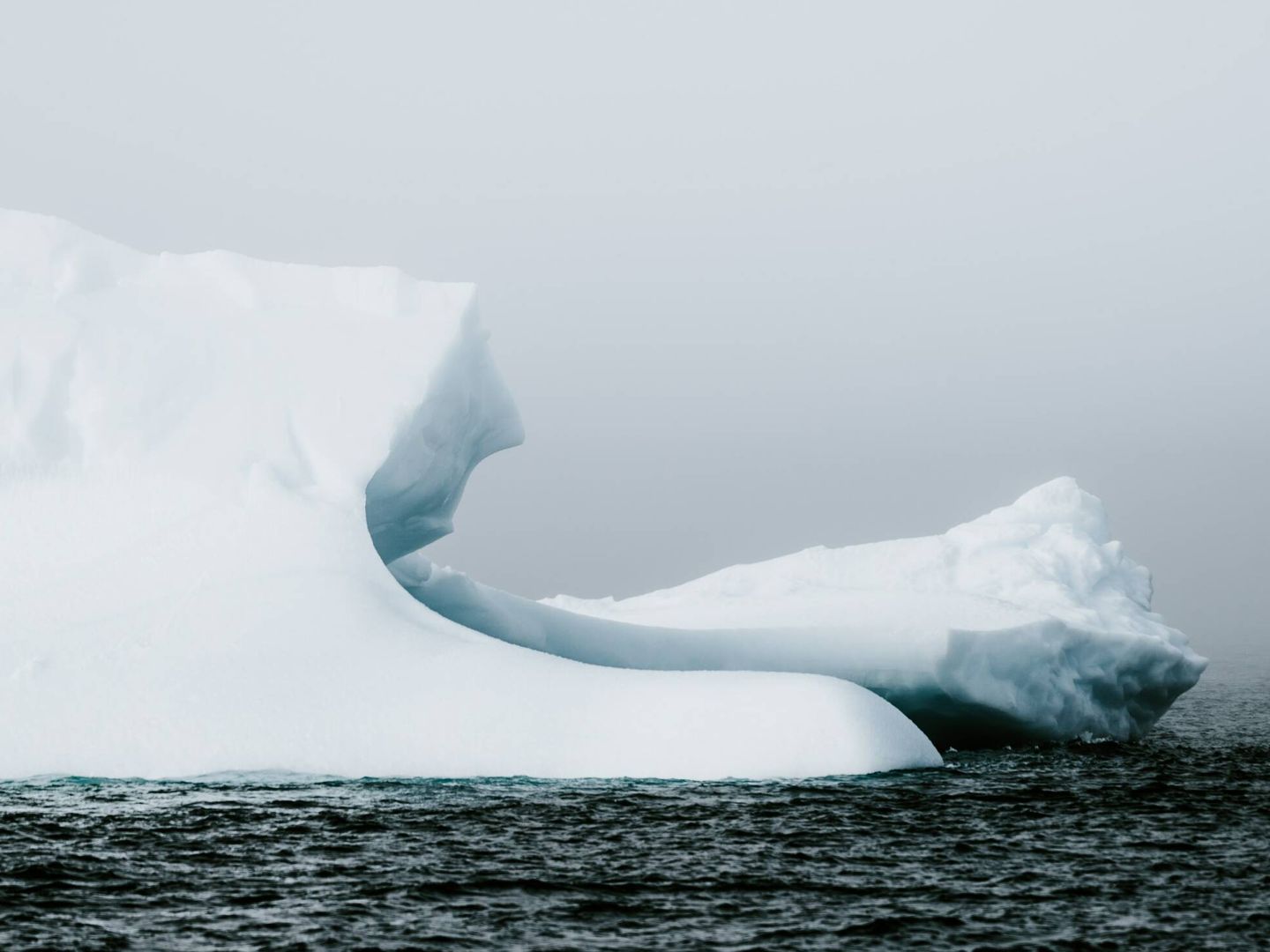 La pérdida de grandes extensiones de hielo marino reduce el hábitat de determinadas especies como morsas, osos polares o focas. Unsplash