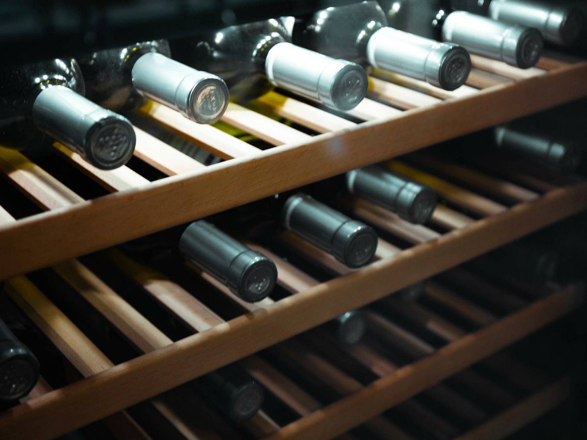 Foto: Las mejores vinotecas para conservar tus vinos en casa (iStock)