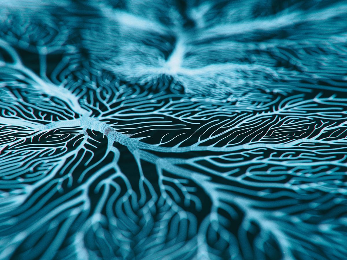 Foto: Imagen 3D de un sistema de neuronas. (iStock)