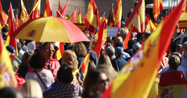 Foto: Una manifestación convocada por la Fundación Denaes para la defensa de la nación española, en la plaza Colón de Madrid. (EFE)