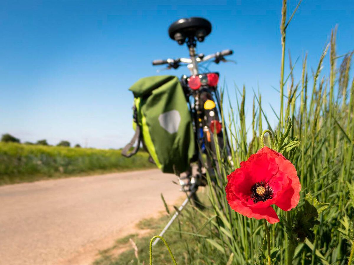 Foto: Ejercicio y naturaleza: se estrenan dos rutas verdes en la Comunidad de Madrid (Pixabay)