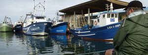 Los pescadores catalanes convocan una huelga indefinida por el alto precio del gasóleo