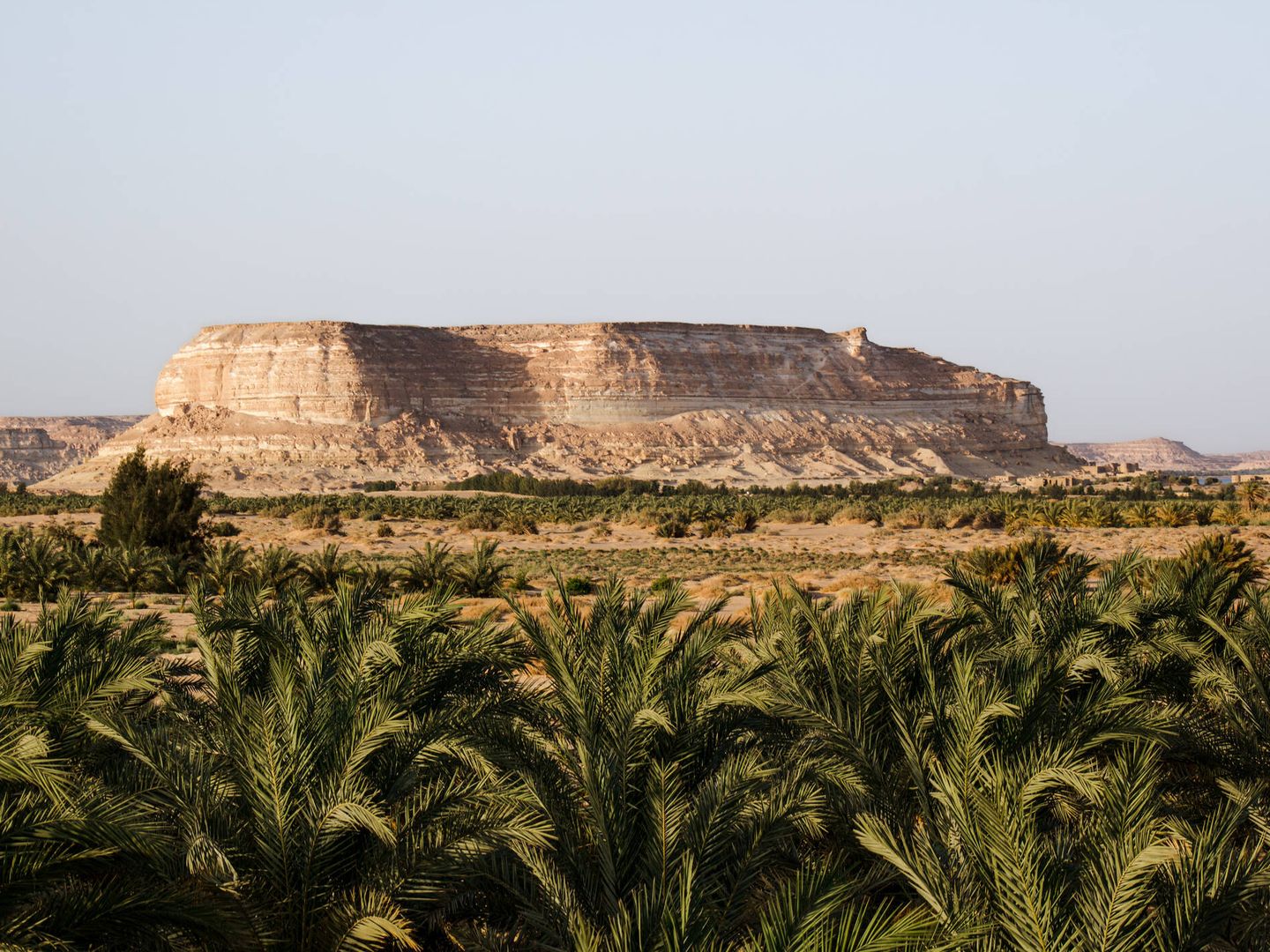 El oasis Siwa, en Egipto. (iStock)