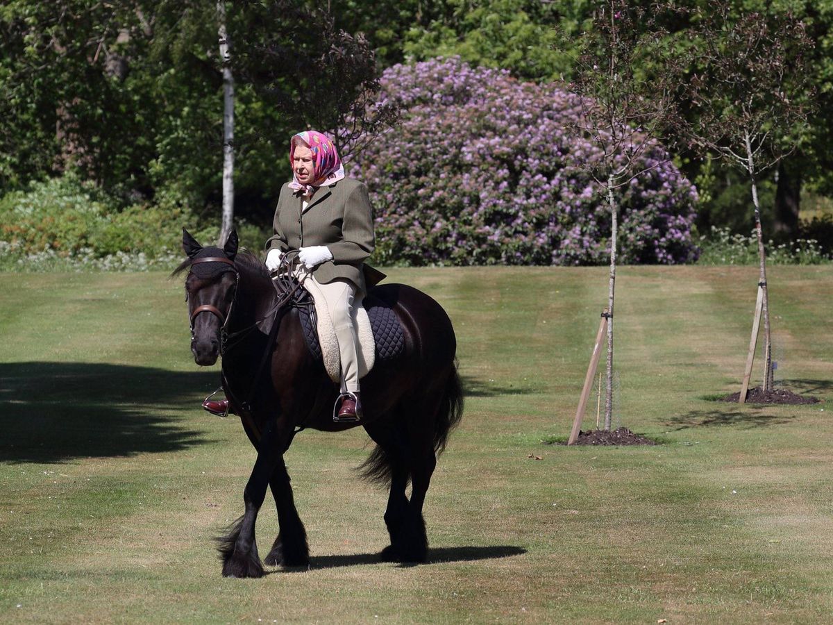 Foto: La reina Isabel, montando a caballo en Windsor. (Buckingham Palace)
