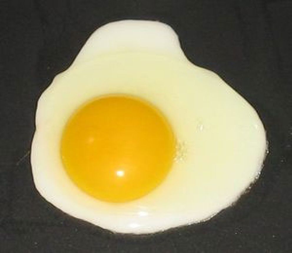 Foto: Los huevos son un alimento fundamental dentro de una dieta sana y equilibrada para todas las edades