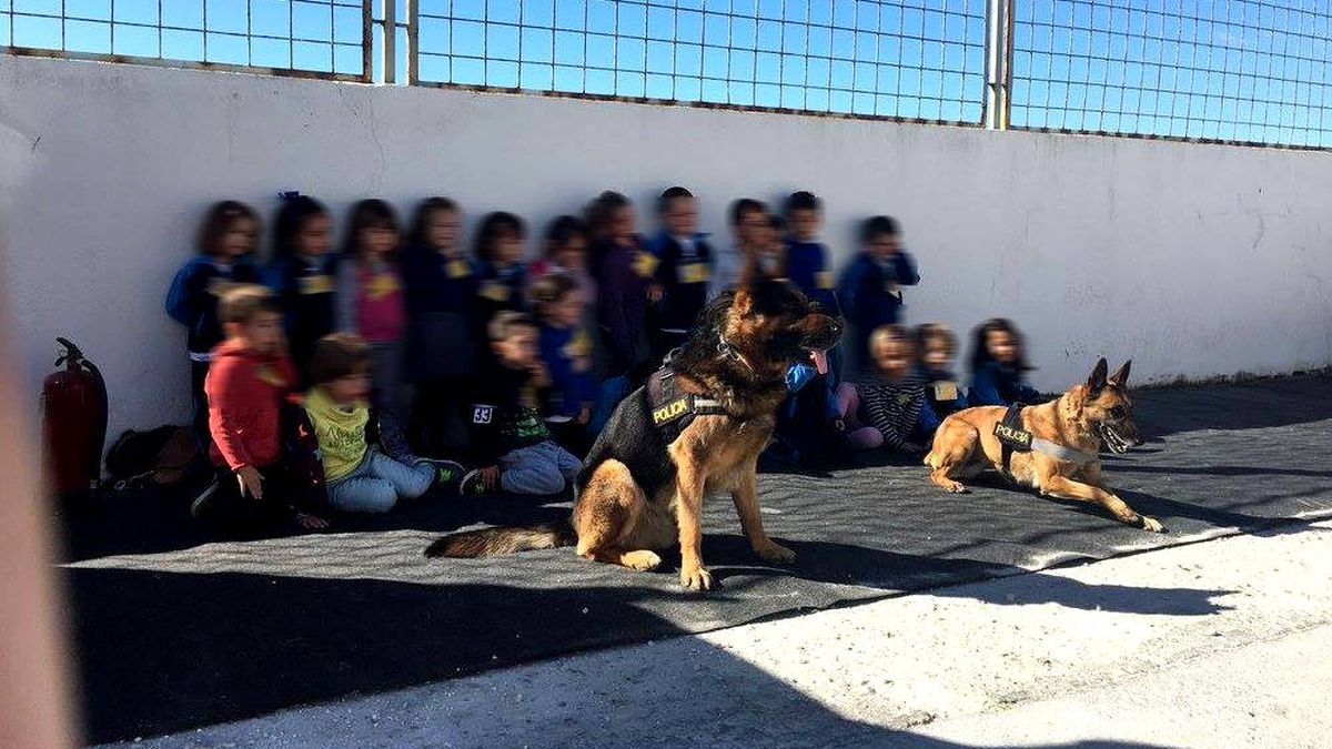 Perros policía acuden a una exhibición en un instituto y terminan haciendo redada