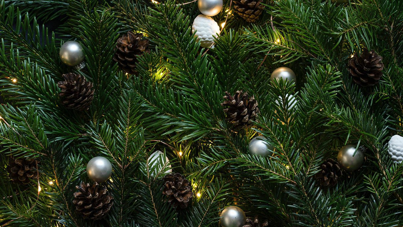 Los mejores árboles de Navidad