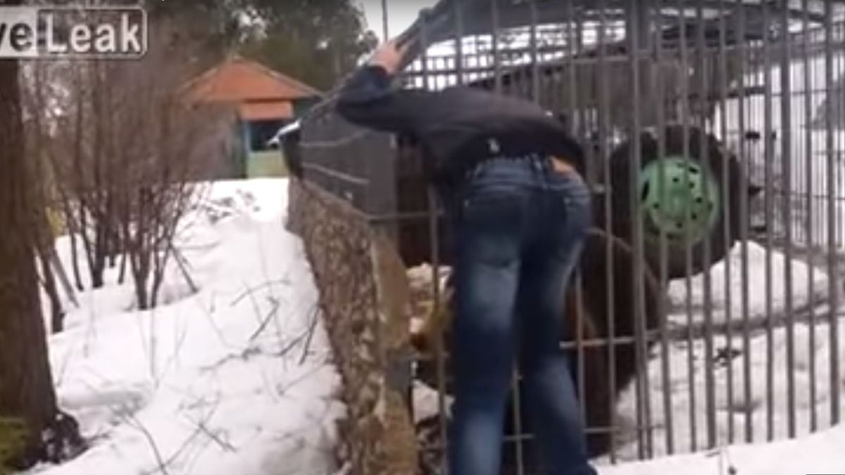 Un borracho intenta acariciar a un oso en una jaula y le arranca la mano