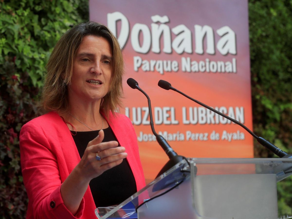 Foto: La vicepresidenta tercera y ministra de Transición Ecológica, Teresa Ribera. (EFE/Fernando Alvarado)