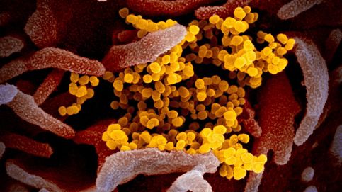 ¿Por qué ahora y no antes?: el coronavirus no es más letal aunque ya sea pandemia