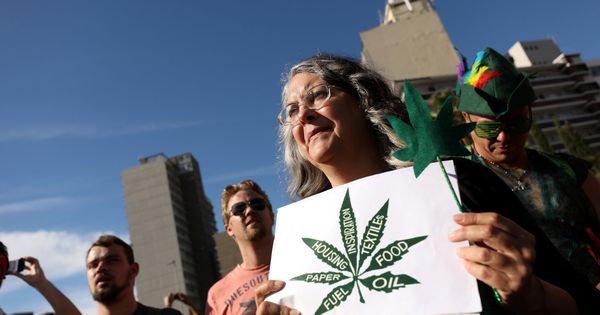 Foto: Manifestación pro uso del cannabis. (Reuters)