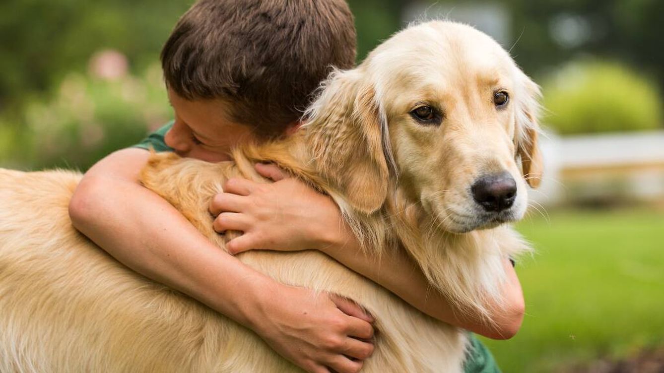 ¿Por qué los perros odian los abrazos?
