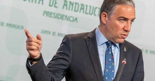 Foto: El consejero de la Presidencia y portavoz del Gobierno, Elías Bendodo. (EFE)