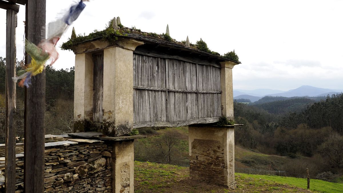 La expropiación de tierras abandonadas en Galicia choca con el Gobierno central