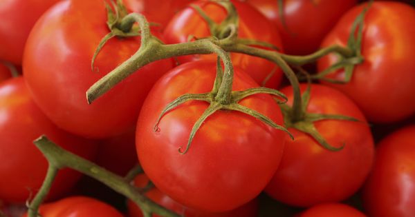 Foto: Los tomates podrían ayudar a las personas con problemas de fertilidad