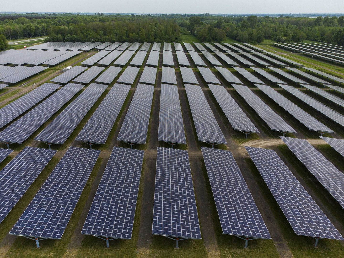 Fotografía de un parque solar fotovoltaico. (EFE/Vincent Jannink) 