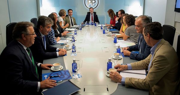 Foto: El presidente del PP, Pablo Casado, preside la reunión del comité de dirección de la formación. (EFE)
