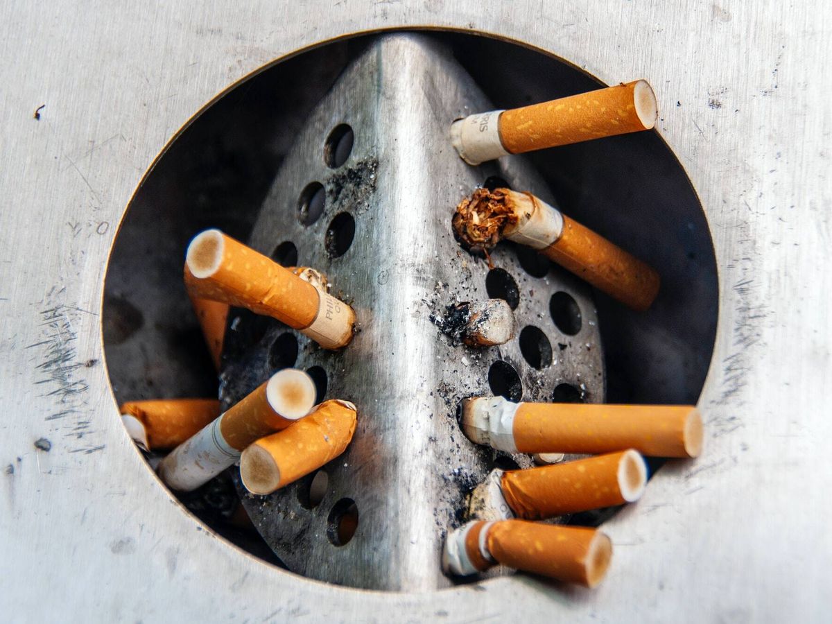 Foto: No está claro si se desechaban de una pipa que se había llenado con hojas de tabaco y se fumaba, o se escupían (Unsplash)