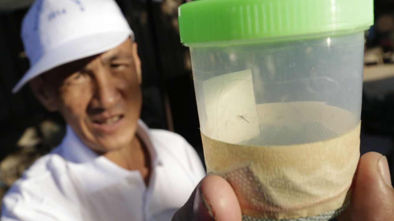 Foto: Un funcionario camboyano muestra mosquitos recogidos el 4 de febrero de 2016. (Efe/Mak Remissa)