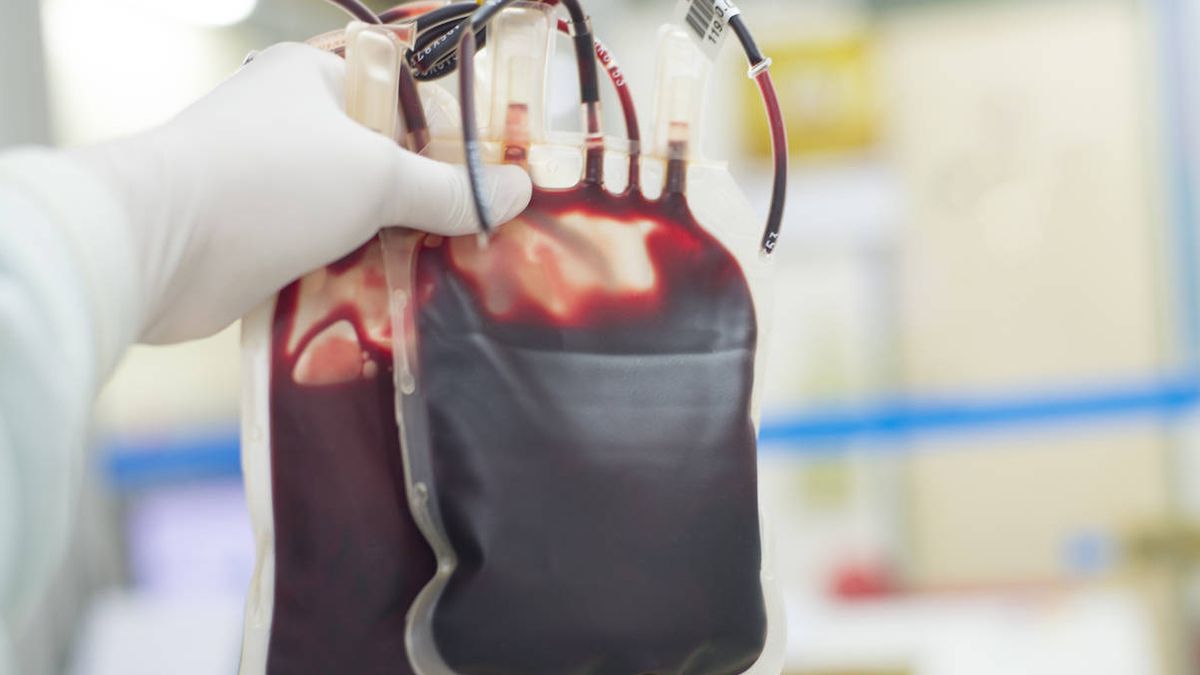 El fin de la escasez de sangre en hospitales será gracias a la microbiota