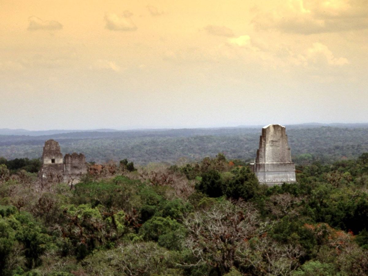 Foto: Templos de Tikal en Guatemala.