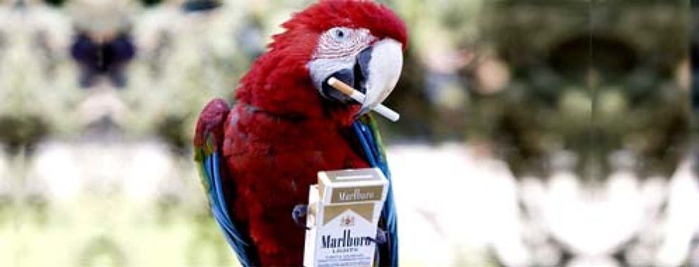 Foto: Philip Morris sigue los pasos de Altadis y sube hasta 25 céntimos sus cigarrillos