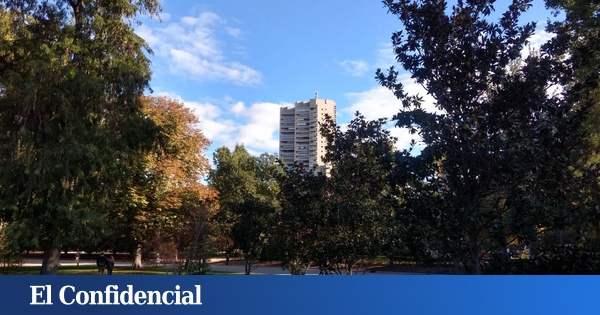 www.elconfidencial.com
