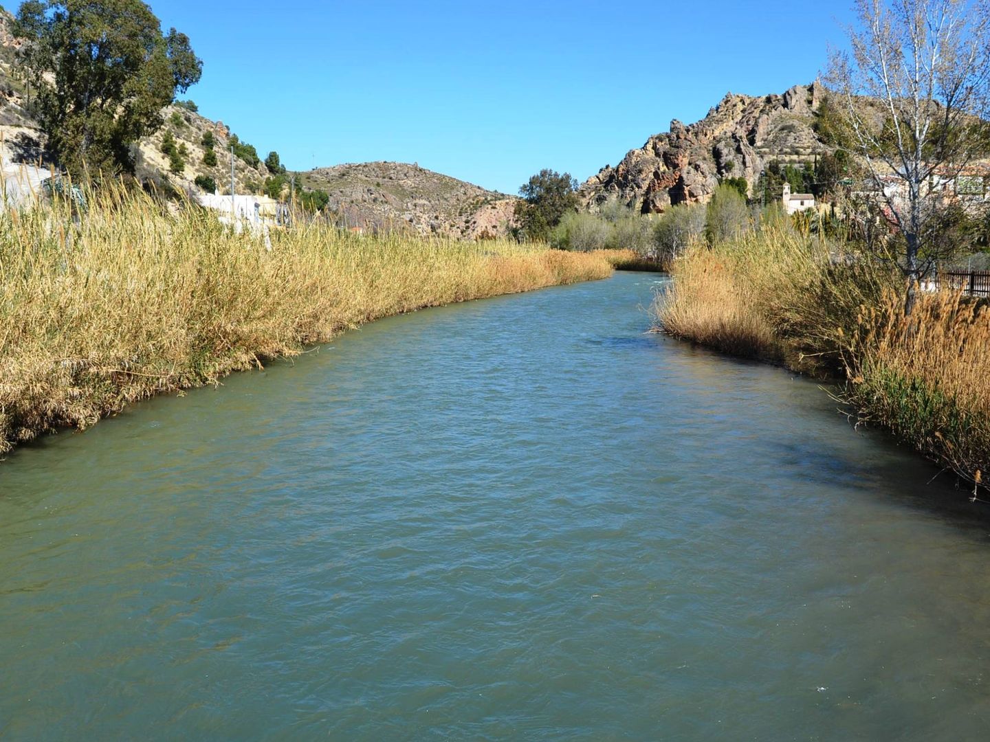 El río Segura es uno de los más frágiles y explotados de España. (CHS)