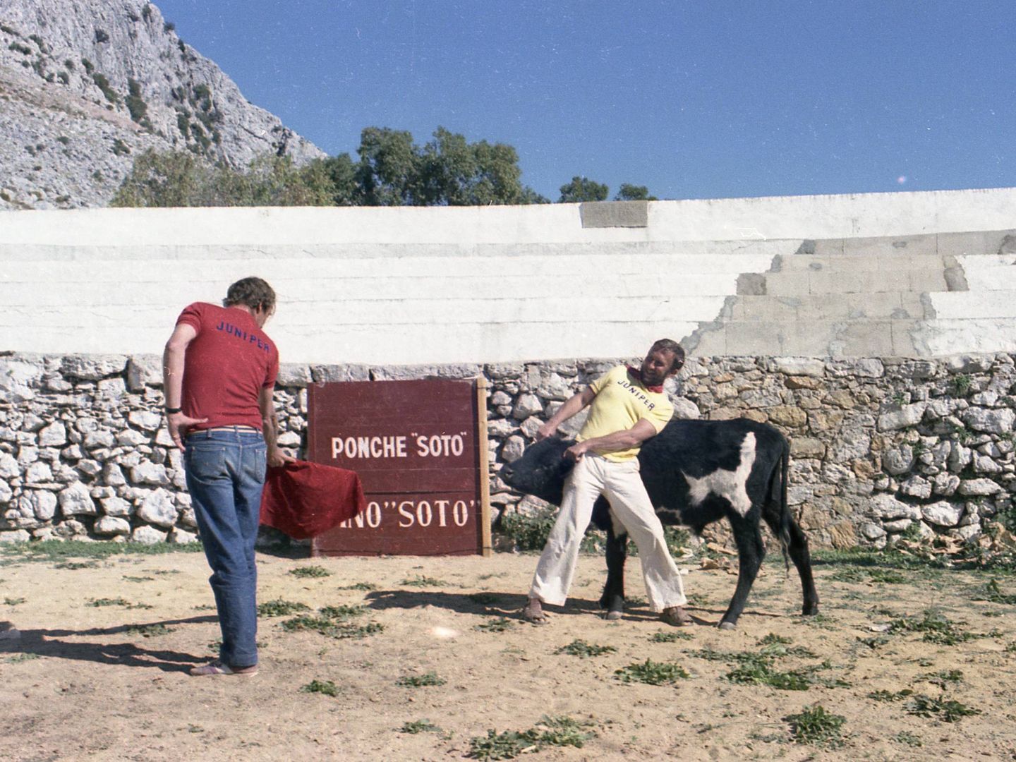 Los directores juegan con las vaquillas en la plaza de toros del Pueblo. (Foto cedida por Antonio Javier González)