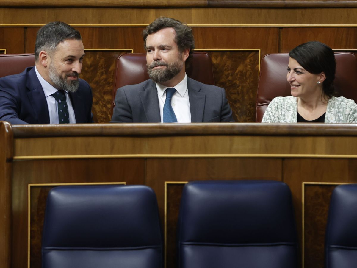 Foto: Abascal, Espinosa y Olona, en el Congreso en 2022. (EFE/Mariscal)