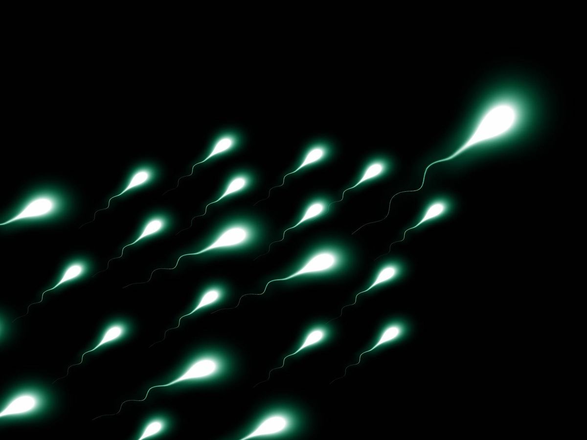 Foto: Esta técnica con células madre puede poner fin a la infertilidad