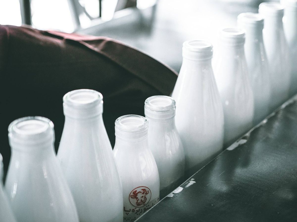 Foto: La leche de origen animal es un clásico en nuestros desayunos. (Mehrshad Rajabi para Unsplash)