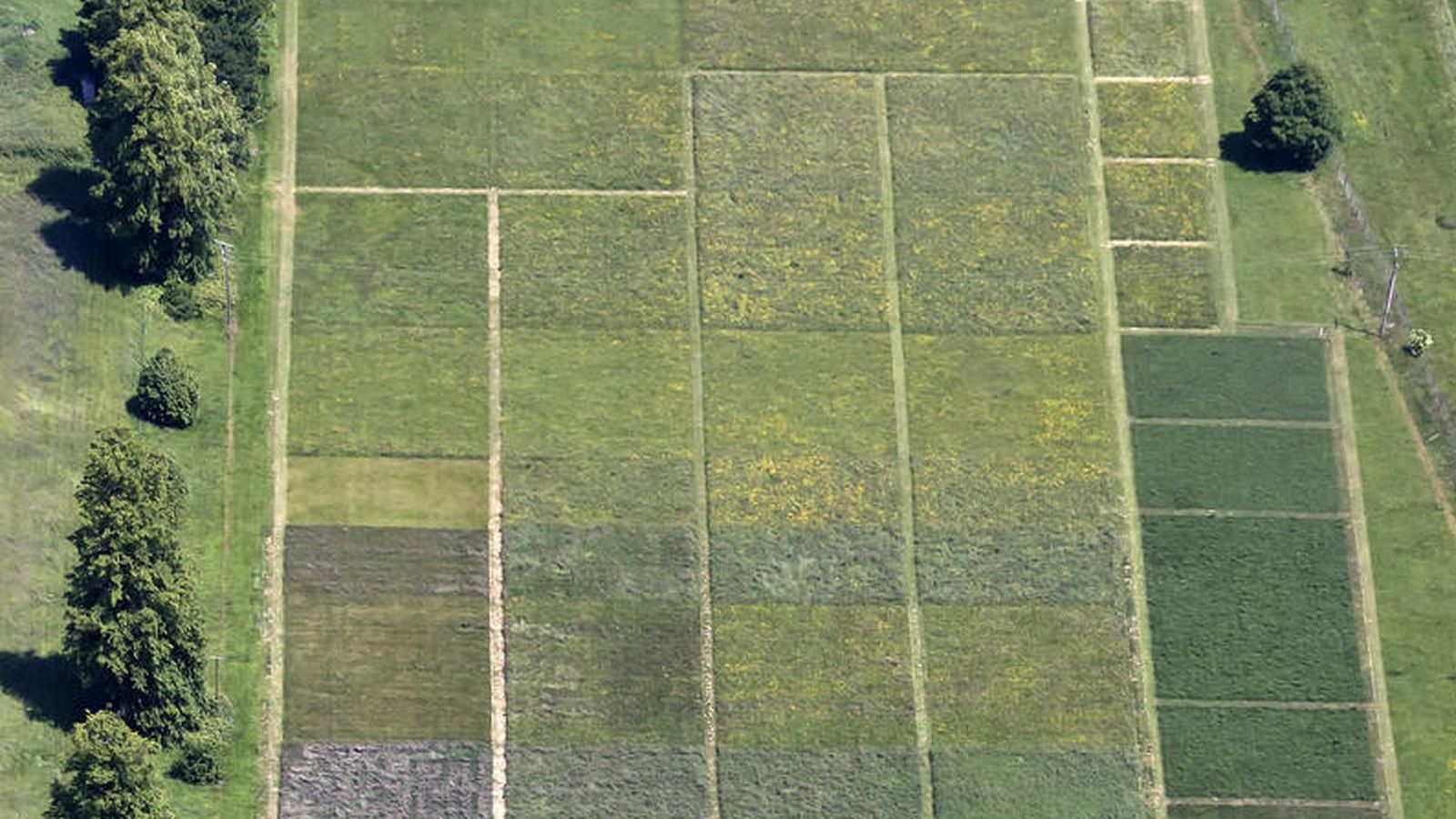 Foto: Vista aérea del terreno donde se realiza el Park Grass Experiment, en el Rothamsted Research (Reino Unido). / Rothamsted Research