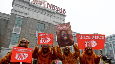 Nestlé perderá el sello de aceite de palma sostenible por ser opaco y no colaborar