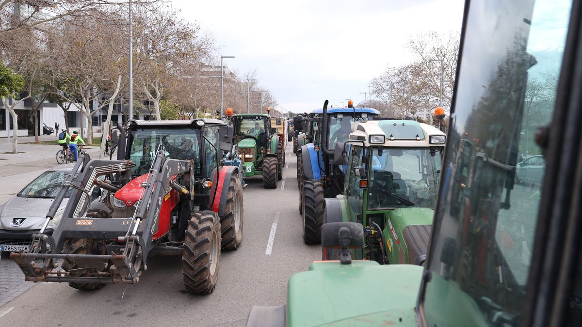 Manifestación de agricultores en Madrid por la huelga: horario, recorrido y calles cortadas