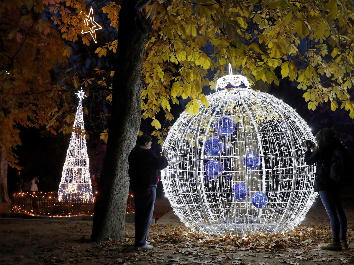 Foto: En Madrid se puede visitar un jardín navideño lleno de luces en el Real Jardín Botánico (EFE)