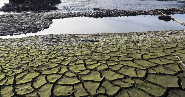 Foto: Imagen de archivo de tierra seca y cuarteada en el embalse de Belesar, a los pies del río Miño. (EFE)
