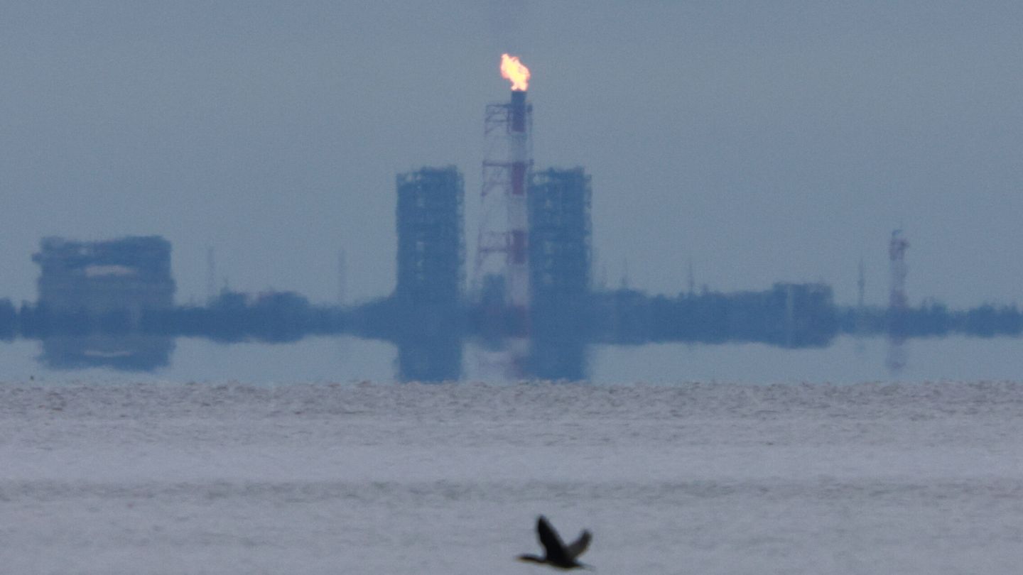 Una llama de gas en la costa del Golfo de Finlandia, región de Leningrado, Rusia, 26 de agosto de 2022. (Reuters/Stringer)