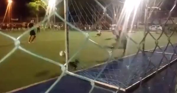 Foto: El perro detuvo el penalti colocándose en el lugar exacto (Foto: Twitter)