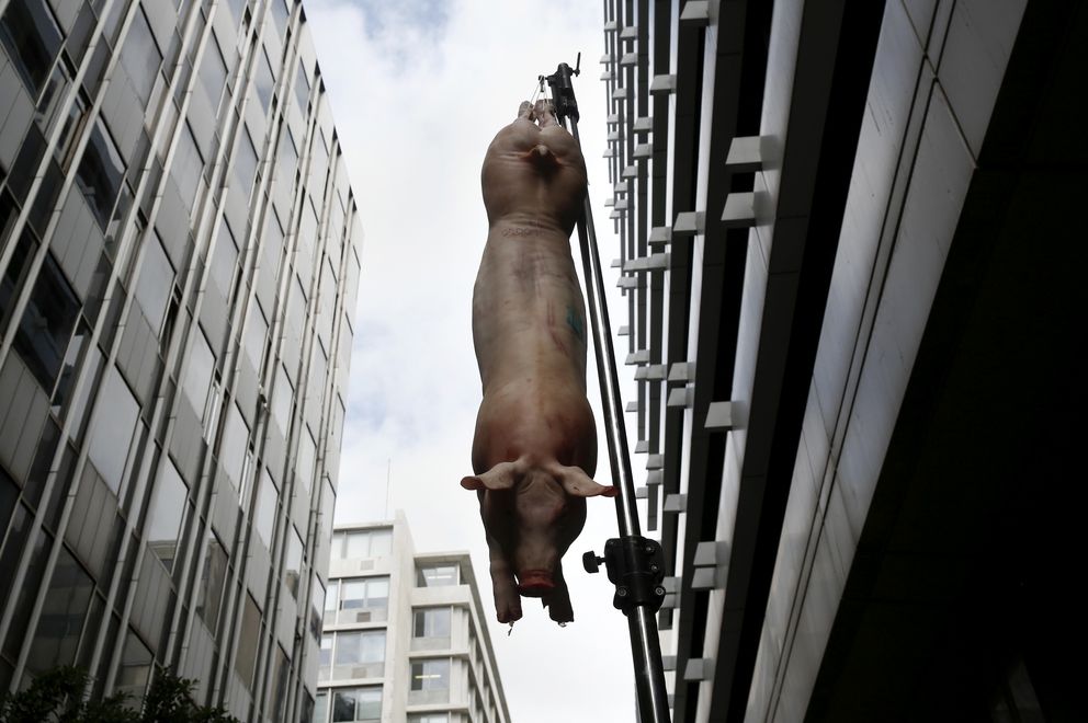 Un cerdo colgado ante la puerta del Ministerio de Finanzas griego durante una protesta en Atenas a finales de octubre de 2014 (Reuters).