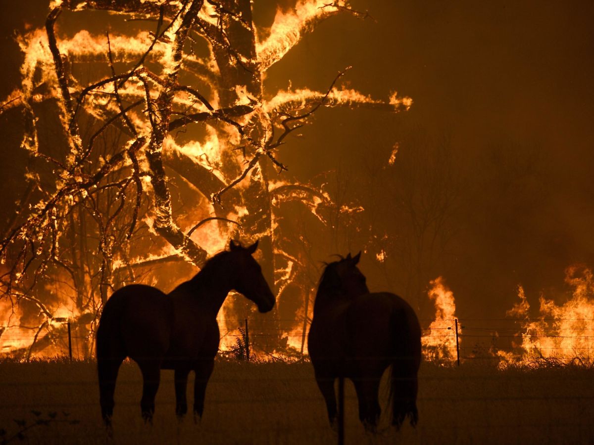 Foto: Imagen de uno de los incendios que ha sufrido Australia. Foto: EFE Dan Himbrechts